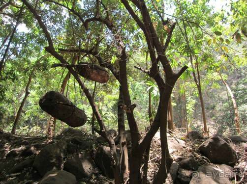 Альбом отзыва "ТАНЗАНИЯ. ЧЕРНОВИК БЕЛОГО ЧЕЛОВЕКА. Отзывы о поездке в Африку с турфимой Тайный Меридиан в 2011 году"