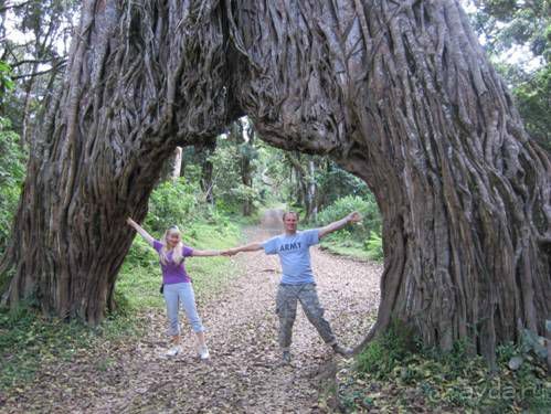 Альбом отзыва "ТАНЗАНИЯ. ЧЕРНОВИК БЕЛОГО ЧЕЛОВЕКА. Отзывы о поездке в Африку с турфимой Тайный Меридиан в 2011 году"