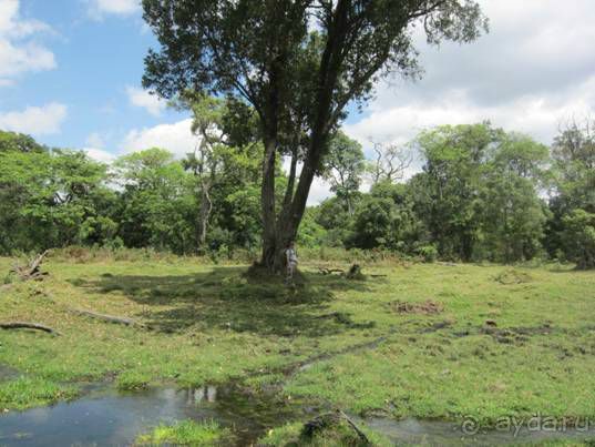 Альбом отзыва "ТАНЗАНИЯ. ЧЕРНОВИК БЕЛОГО ЧЕЛОВЕКА. Отзывы о поездке в Африку с турфимой Тайный Меридиан в 2011 году"