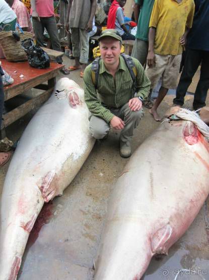 Альбом отзыва "ТАНЗАНИЯ. ЧЕРНОВИК БЕЛОГО ЧЕЛОВЕКА. Отзывы о поездке в Африку с турфимой Тайный Меридиан в 2011 году"