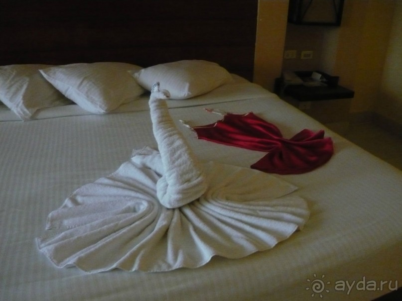 фото Coral Sea Holiday Resort & Aqua Park