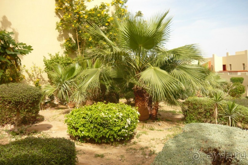 прекрасный отель