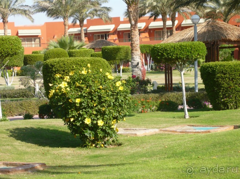 прекрасный отель