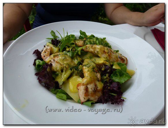 Альбом отзыва "Литохоро"