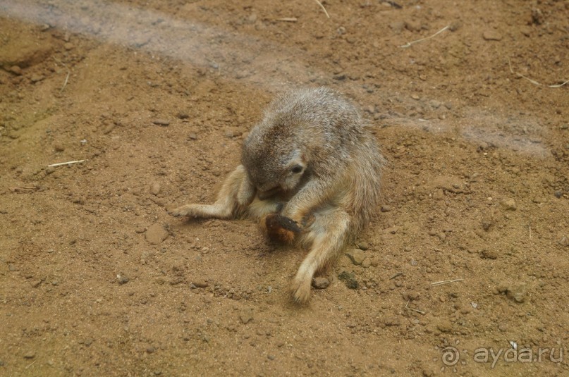 путь на Тенерифе