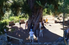 путь на Тенерифе