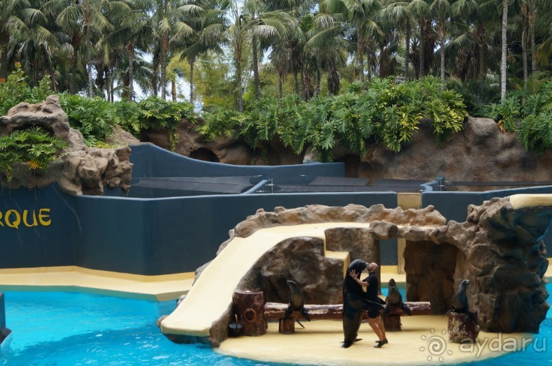 путь на Тенерифе