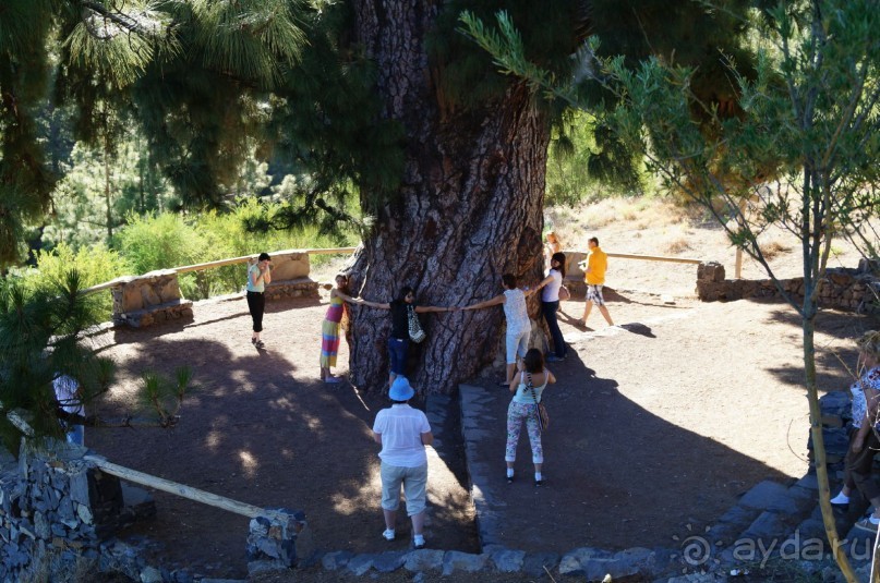 путь на Тенерифе