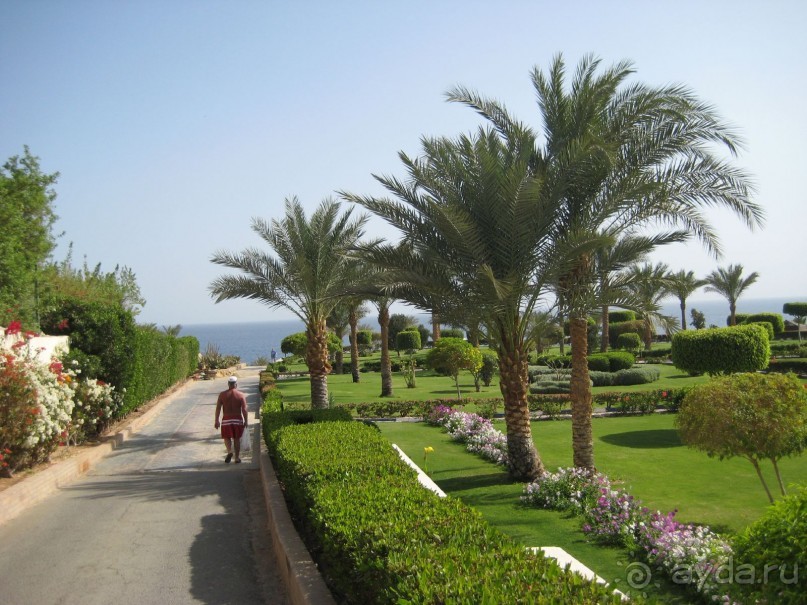 фото Grand Oasis Resort