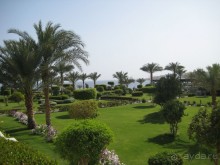 фото Grand Oasis Resort