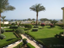 фото Grand Oasis Resort