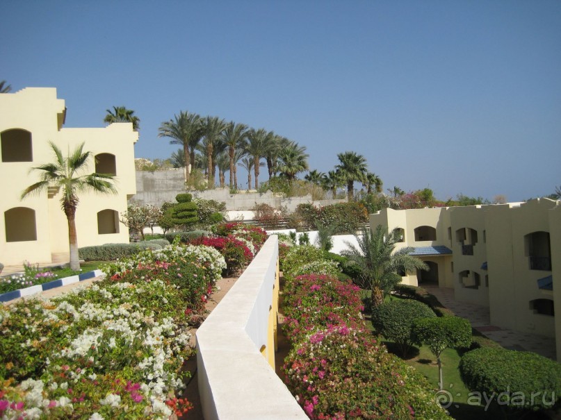 фото Silver Swan Hotel