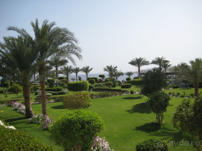 фото Silver Swan Hotel