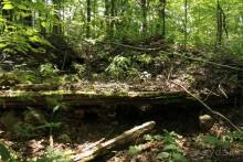 Вполне симпатичное местечко Лосвидо