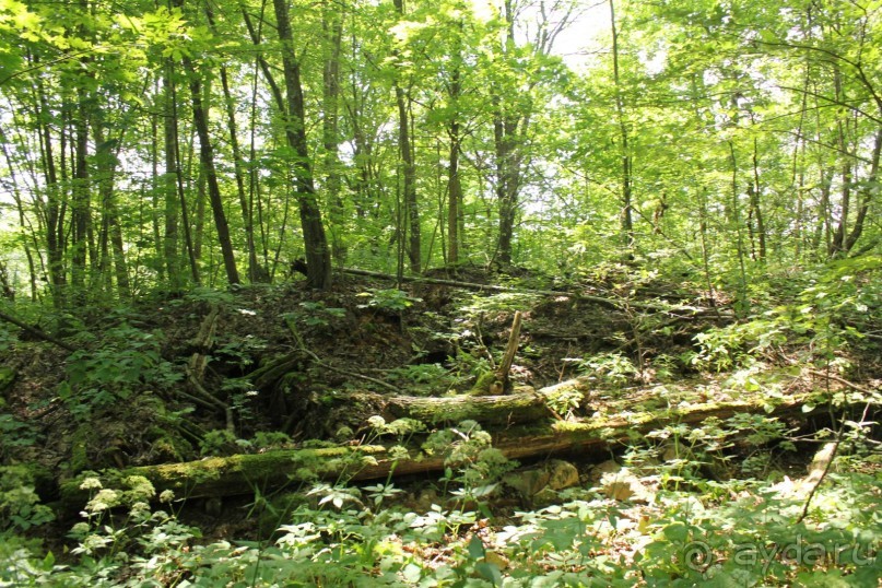 фото Bayview Beach Resort