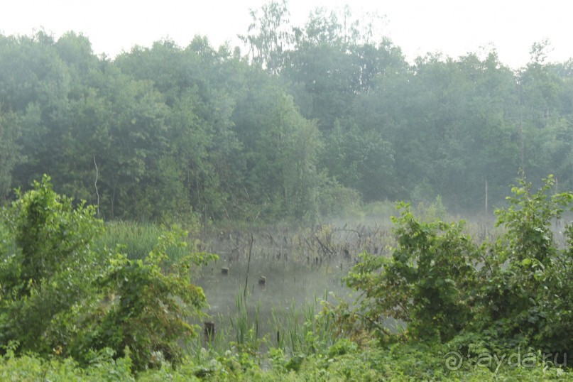 фото Bayview Beach Resort