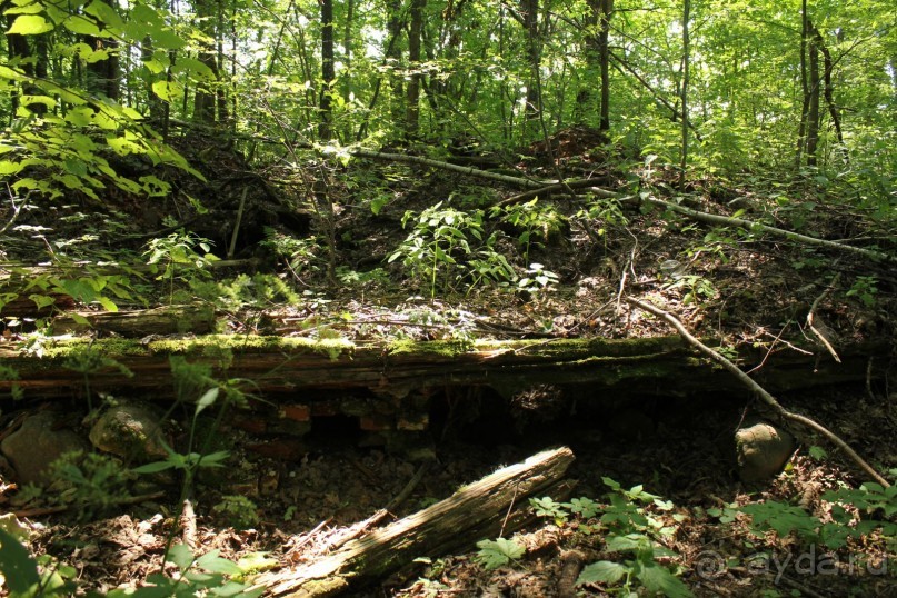 фото Bayview Beach Resort