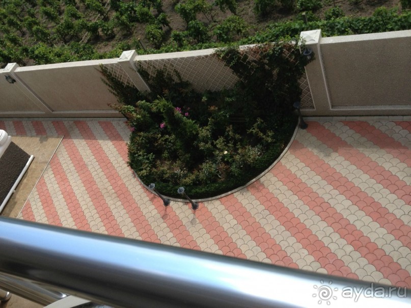 фото АннаМария