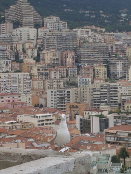 Лигурия. Италия