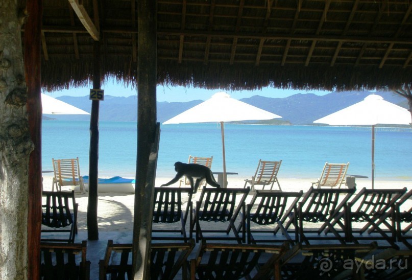 Отдых во Вьетнаме. Мифы и не только.