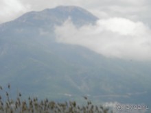 воплощённая благодать