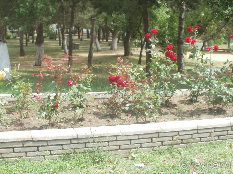 фото Sunny Paradise Resort