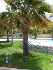 Хороший спокойный отель