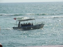 Немного впечатлений о Шри-Ланке. Хиккадува.