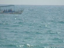 Немного впечатлений о Шри-Ланке. Хиккадува.