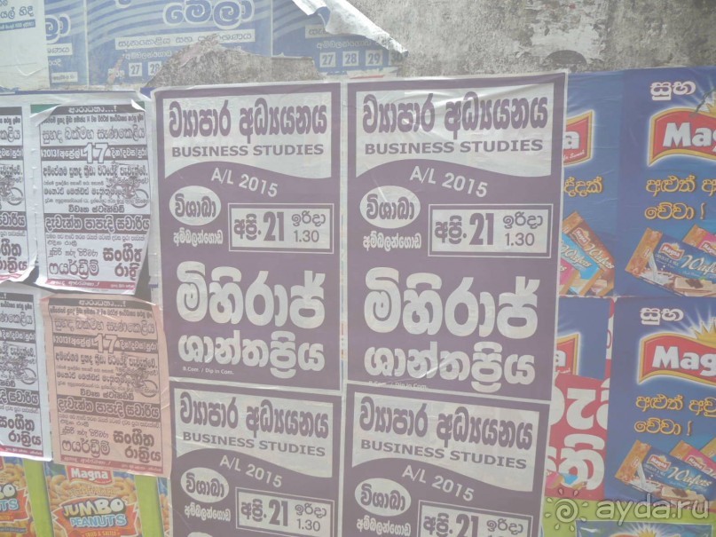 Немного впечатлений о Шри-Ланке. Хиккадува.