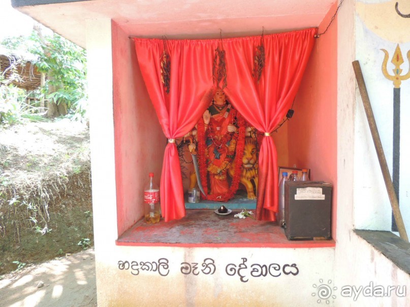 Немного впечатлений о Шри-Ланке. Хиккадува.
