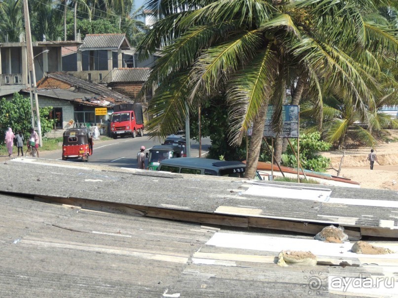 Немного впечатлений о Шри-Ланке. Хиккадува.