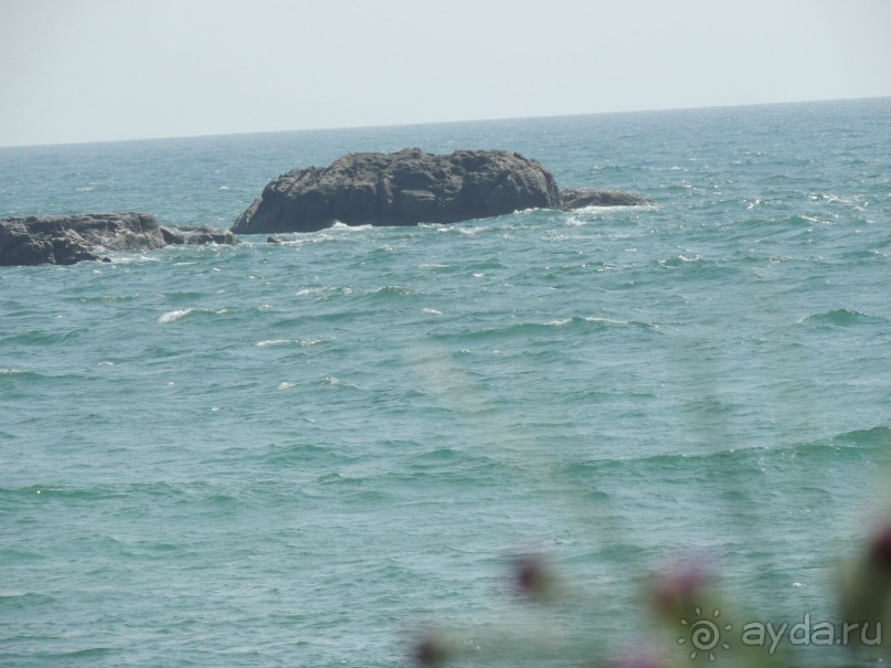 Немного впечатлений о Шри-Ланке. Хиккадува.