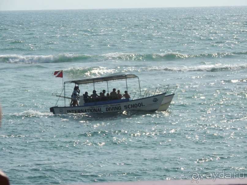 Немного впечатлений о Шри-Ланке. Хиккадува.