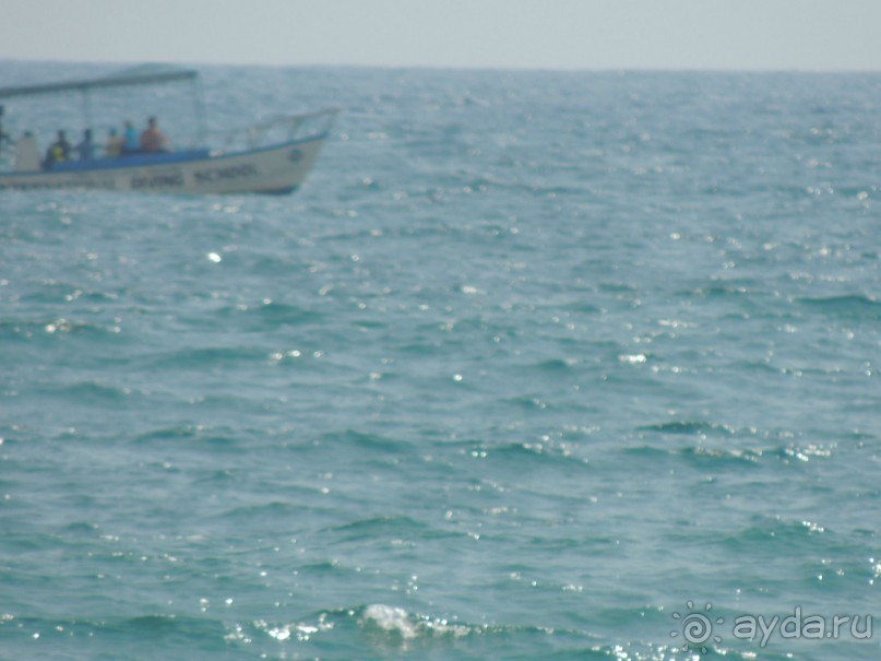 Немного впечатлений о Шри-Ланке. Хиккадува.