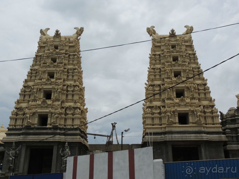 Немного впечатлений о Шри-Ланке. Хиккадува.