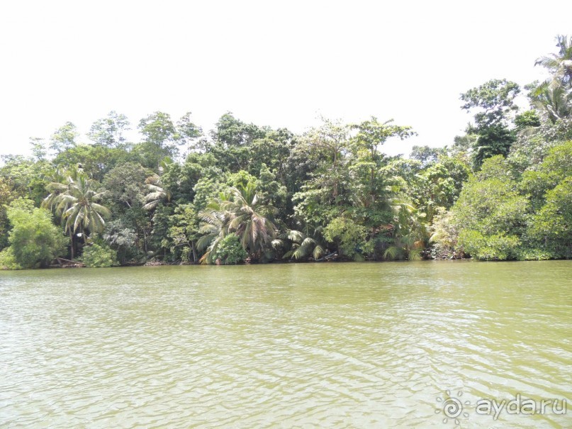 Немного впечатлений о Шри-Ланке. Хиккадува.