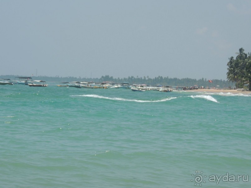 Немного впечатлений о Шри-Ланке. Хиккадува.
