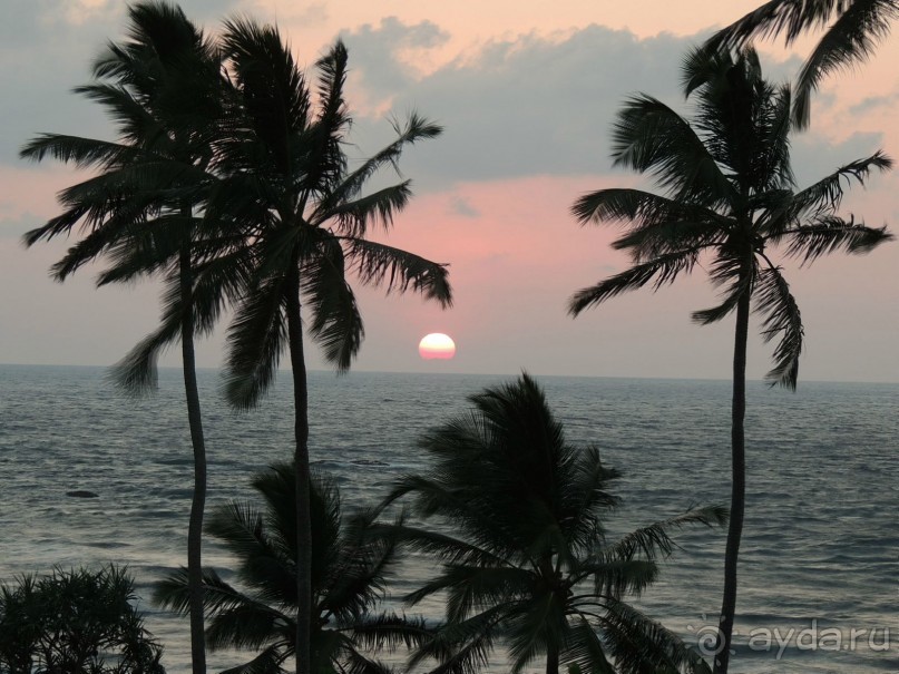 Немного впечатлений о Шри-Ланке. Хиккадува.