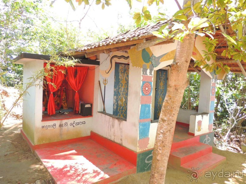 Немного впечатлений о Шри-Ланке. Хиккадува.