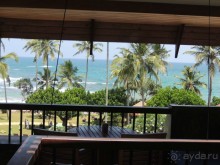 фото Hikka Tranz by Cinnamon