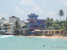 фото Hikka Tranz by Cinnamon