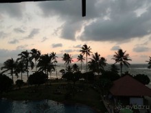 фото Hikka Tranz by Cinnamon