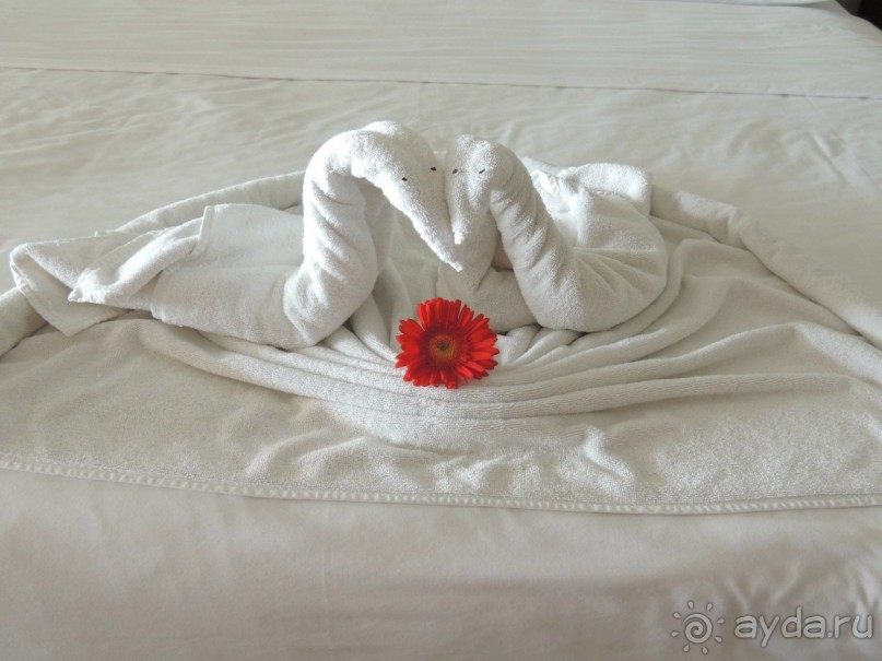 Отличный отель,отличный отдых