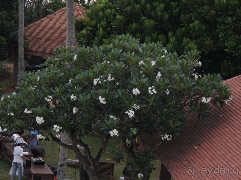 Отличный отель,отличный отдых