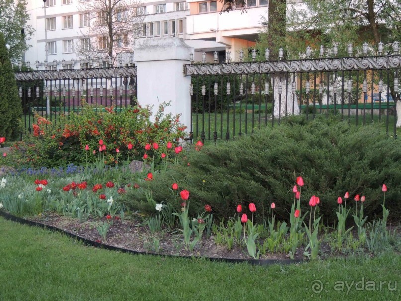 Минск.Влюбилась.