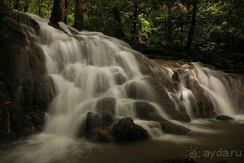 Альбом отзыва "Пхукет Дикарки и Дикаря"