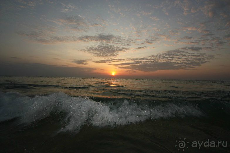 Альбом отзыва "Пхукет Дикарки и Дикаря"