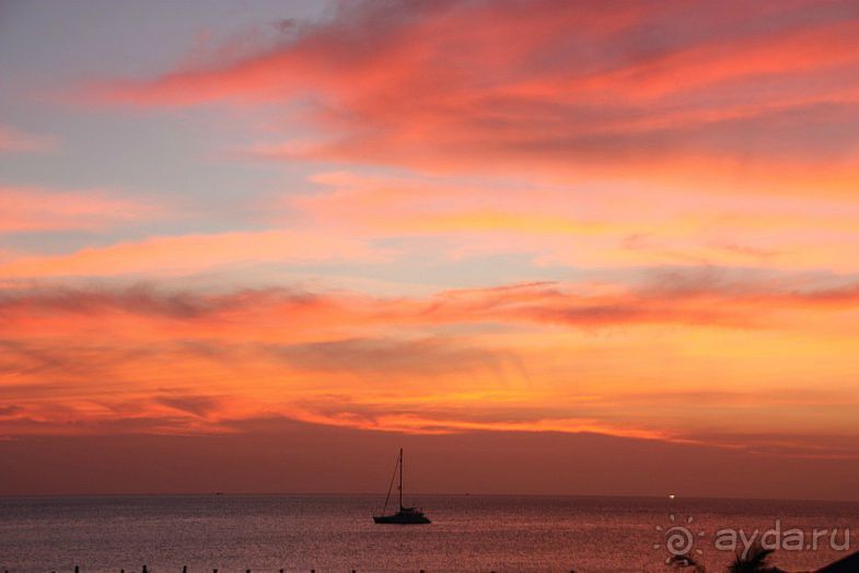 Альбом отзыва "Пхукет Дикарки и Дикаря"