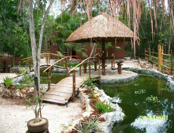 Альбом отзыва "Незабываемые Джунгли.Отель"